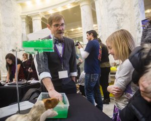 STEM Matters! at the Capital 2017