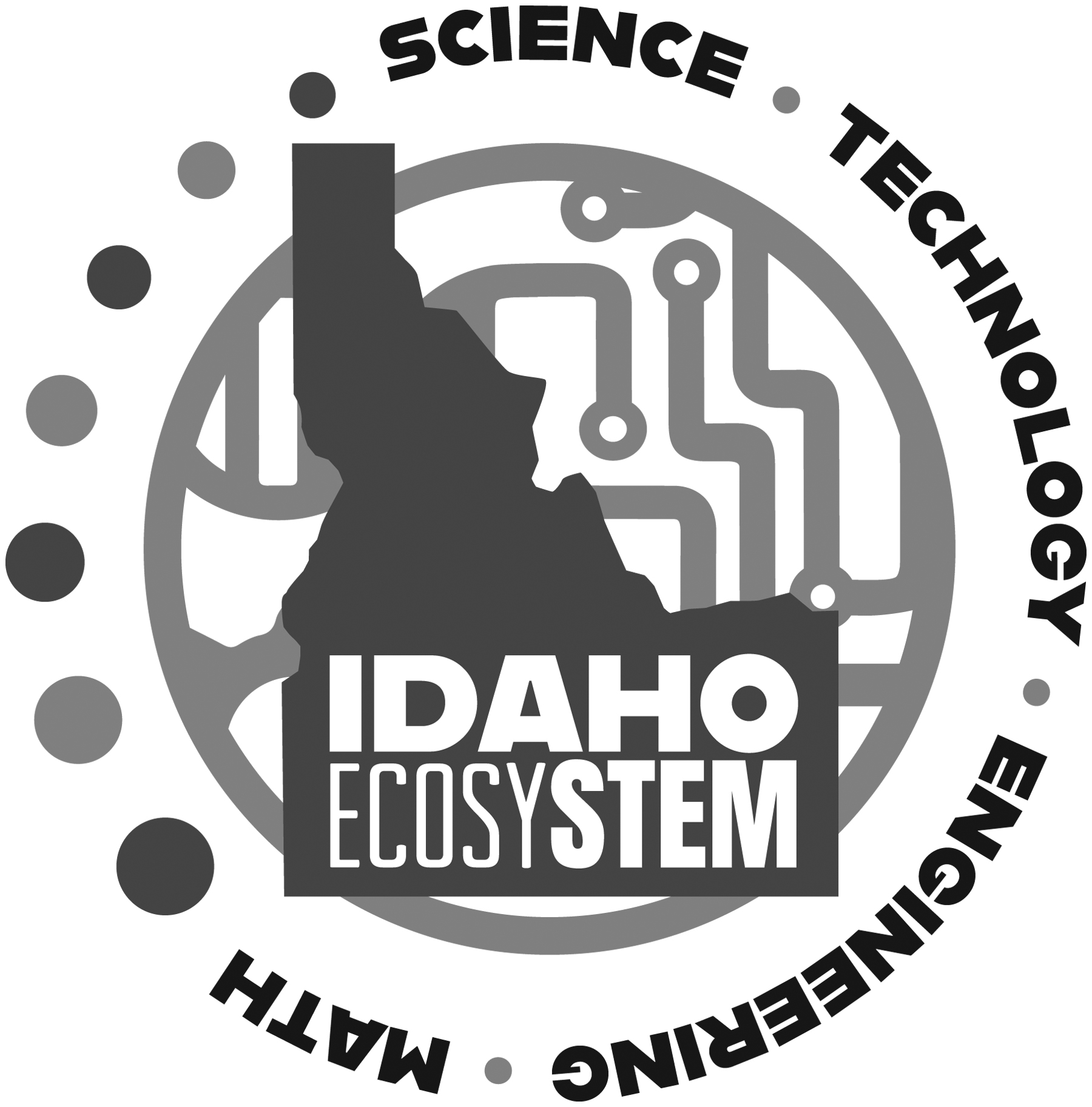 EcosySTEM logo Gray JPG Format