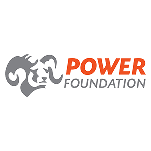 Power Engineers Website