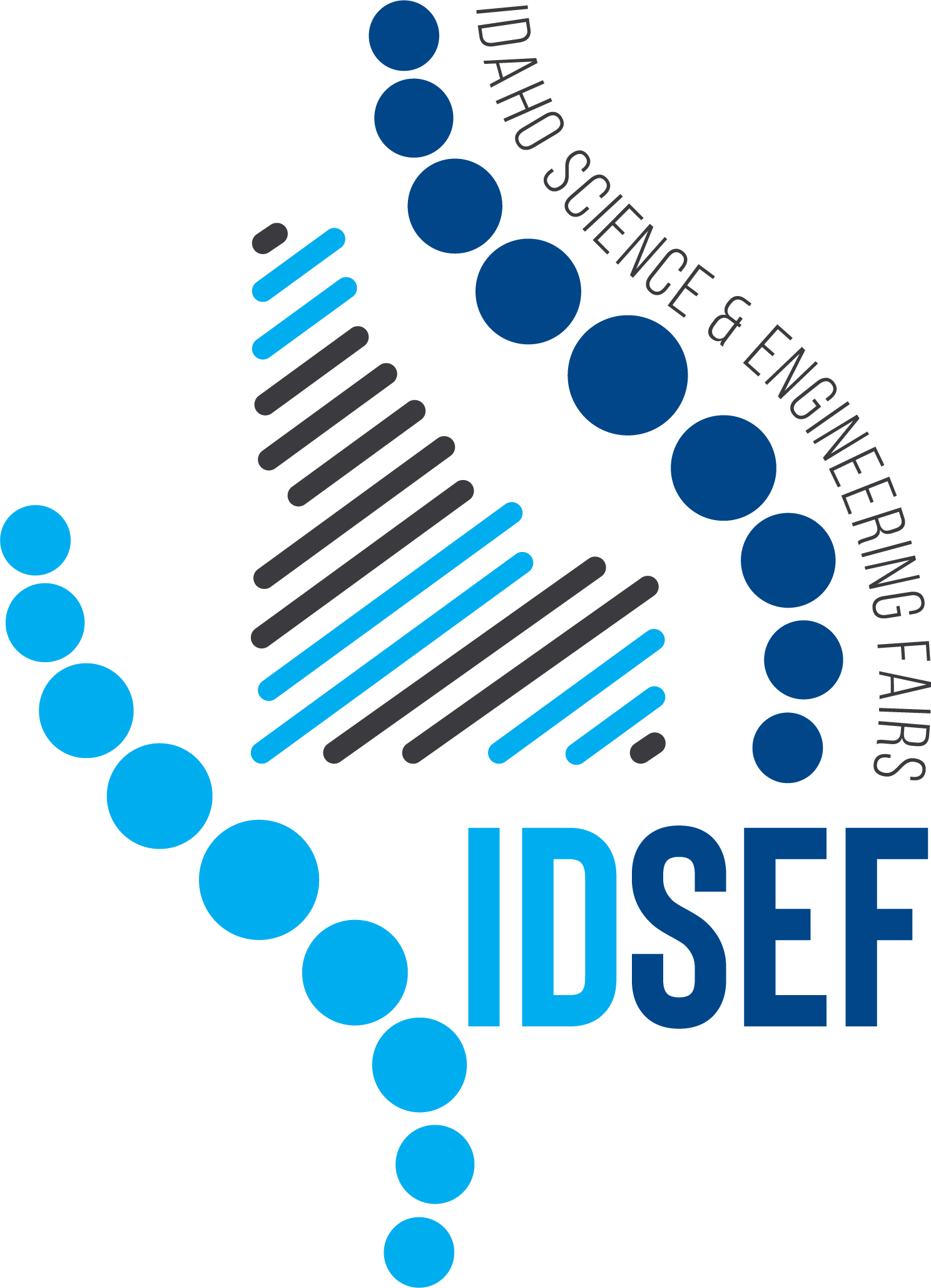 IDSEF Logo