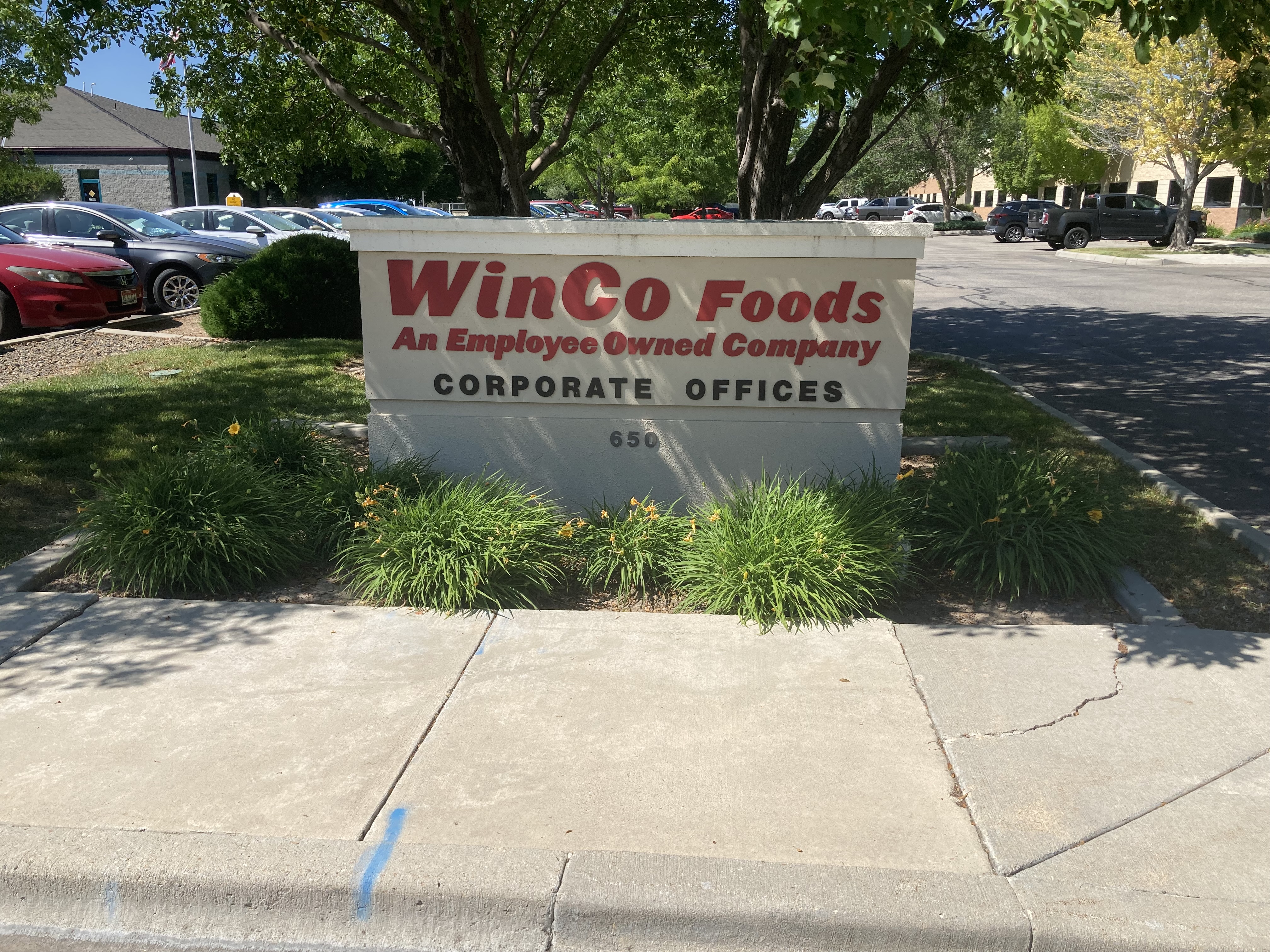 Jonathon Morgano Externship at Winco Foods Corporate