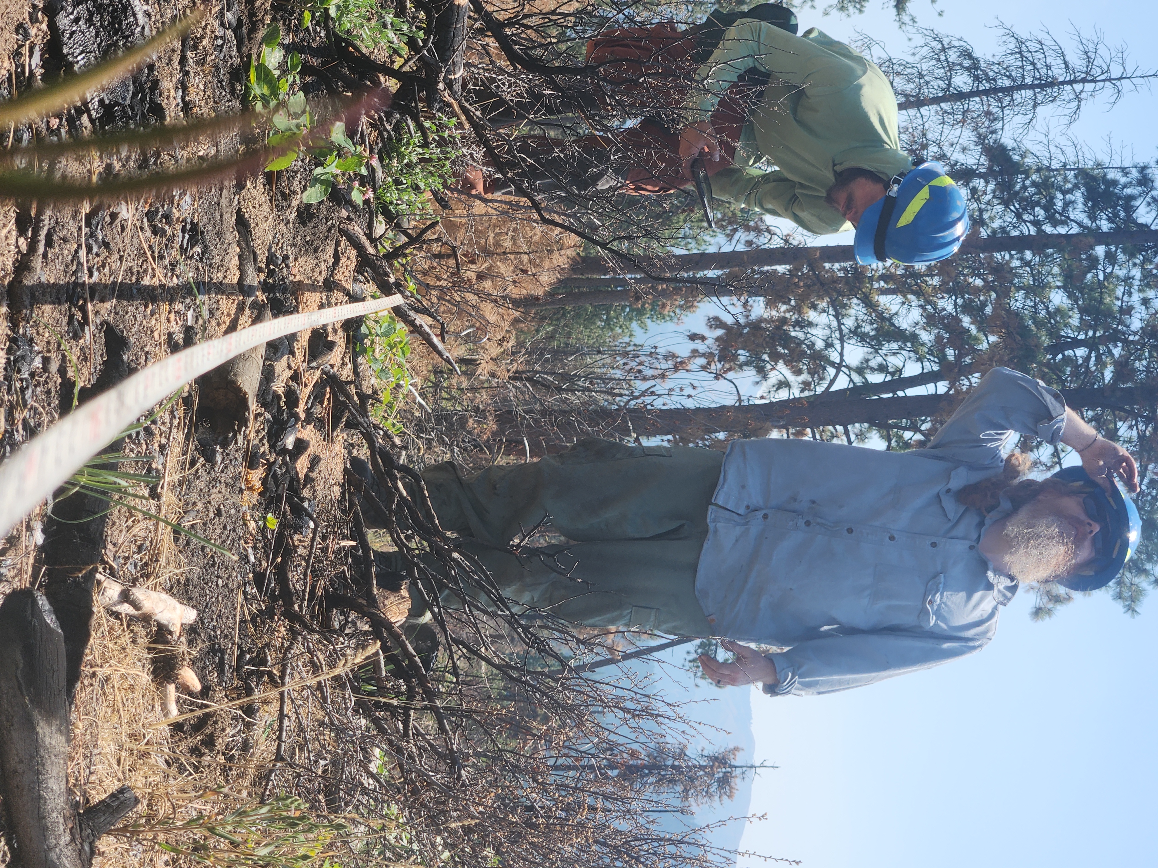 Michael McCormick at USDA Forest Service 