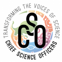 CSO International Logo